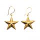 Star Earrings